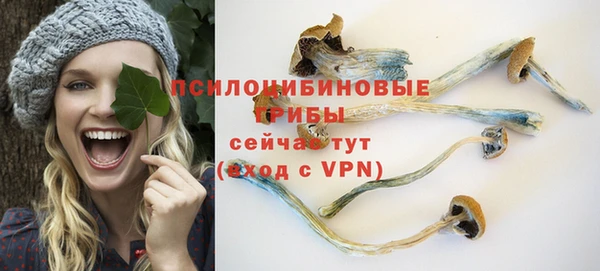 дмт Белокуриха